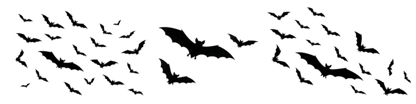 Flock of bats flying in the dark night sky for Halloween horror concept banner