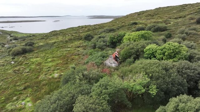 An evocative drone shot showing a derelict stone house hidden within lush green trees and wild Irish landscape, symbolizing sustainability and the power of nature.