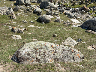 Large lichen-covered boulder on a green alpine meadow with scattered stones, Kyrgyzstan © Renderville
