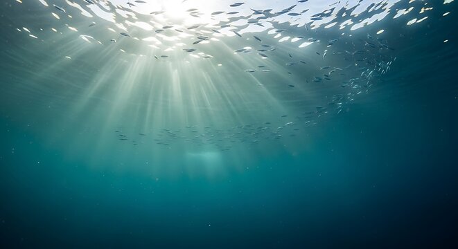 A school of small fish swimming under the ocean surface with sunlight rays penetrating through the clear blue water