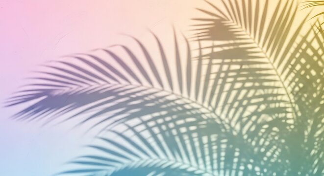 Soft palm leaf shadow on a pastel rainbow gradient background wallpaper