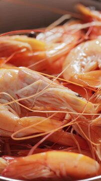 Healthy Steamed Shrimp Appetizer Close-Up Marine Cuisine Vertical Video