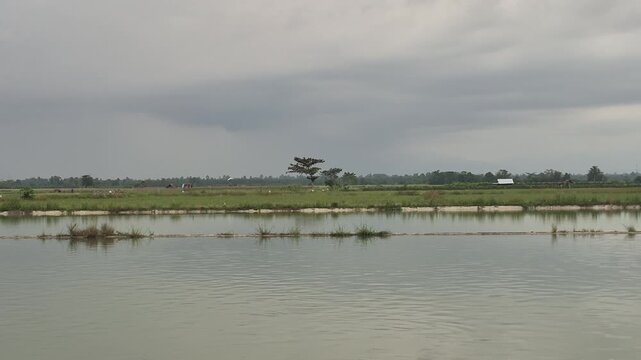 Wide panoramic landscape of an expansive freshwater aquaculture pond and fish farm under an overcast, cloudy sky. The serene, calm water reflects the horizon and lush green dikes dividing the fish pon