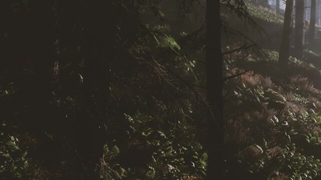 Under the veil of night, shadows play among vibrant leaves in a tranquil forest. Soft rustles hint at hidden secrets in this serene natural setting.