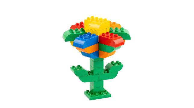 Colorful toy brick flower sculpture, plastic interlocking building blocks plant, creative childhood craft model isolated on white background