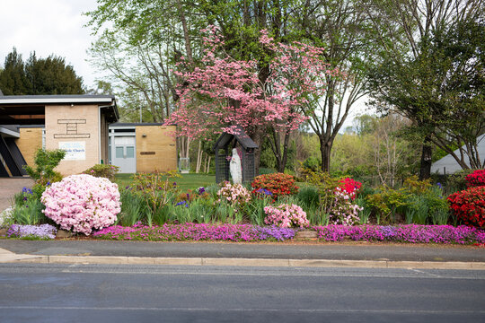 Colorful Spring Garden Beside Modern Building