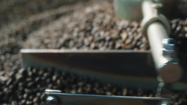 Roasted coffee beans mixing inside large industrial drum roaster at factory close up automatic machinery stirring aromatic brown grains during cocoa production roasting process beverage manufacturing