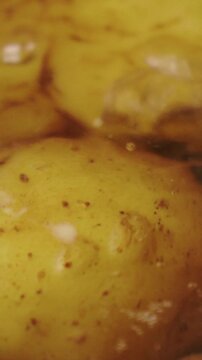 Unpeeled potatoes simmer in bubbling hot liquid during culinary recipe making. Macro view displays textured potato surface and clear boiling broth creating nutritious vegetarian dish for dinner.