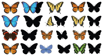 Collection of colorful butterflies and black silhouettes on a white background © Khuku