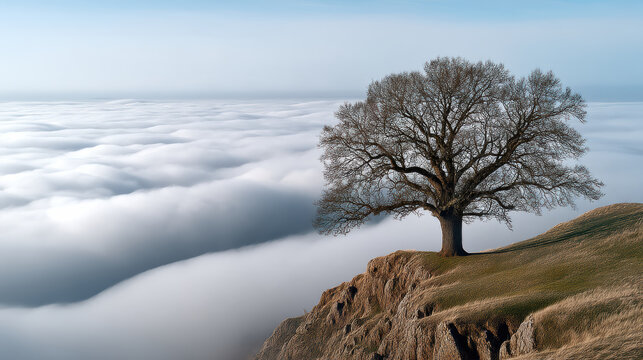 Lone tree cliff serene calm hills landscape high fidelity tranquil nature sky