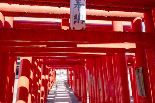 神社に奉納された赤い鳥居と続く参道