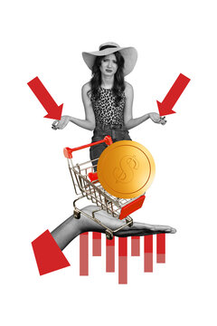 Template sketch image artwork collage of young lady stand bad mood hold arrow pushcart coins recession business decrease downwards crisis