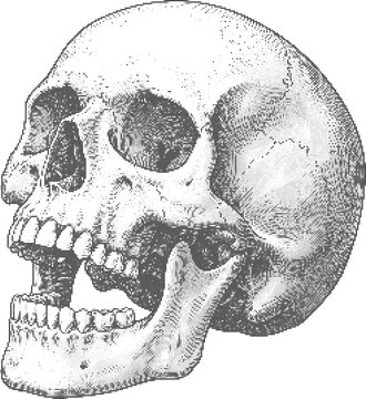 Skull halftone dot texture retro illustration vintage collage element design