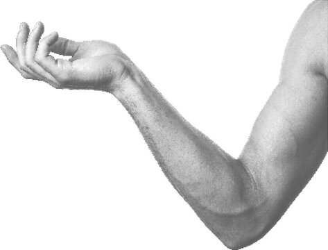 Arm Hand Halftone Dot Texture Retro Vintage Collage Element
