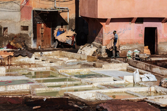 Marrakech Tannery, view across the dye pits and workers carrying clean animal hides for dyeing.
