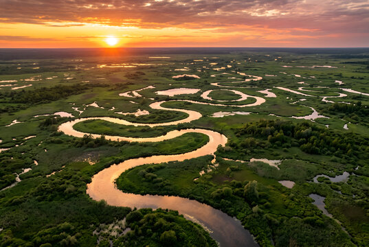 夕日に輝く空撮の蛇行する川と湿地 ― 地平線まで広がる緑の湿原を曲がりくねって流れる河川