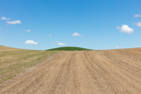 The Palouse, a large fertile agricultural prairie region, bare prairie soil, ploughed and ready for a crop.