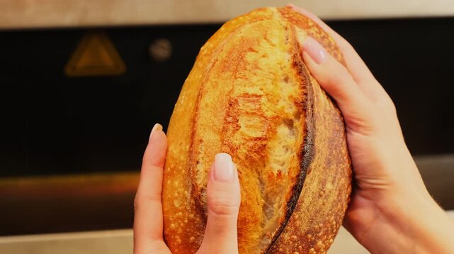 Bakery worker carefully shows shape and texture of freshly baked loaf. Woman baker shows customers beautifully browned surface of bread