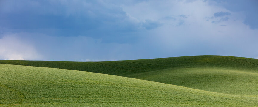The Palouse, a large fertile agricultural prairie region, green slopes, wheat crops growing on the prairie.