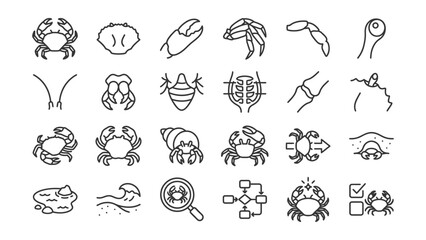 Fototapeta premium Set of thin line icons featuring crabs and various marine crustacean elements on white background