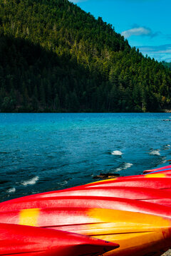 Row of red kayaks on shore at Lake Crescent, Olympic National Park, Port Angeles
