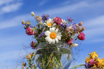 A summer bouquet of traditional medicinal wild herbs including perforate St Johns wort and clover in a round glass vase with dew drops against a blue sky © prambuwesas