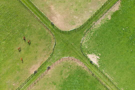 Aerial view of a green pasture divided by wooden fences into four sections with horses grazing in one of the fields in the United Kingdom.