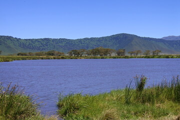 Bäume am Ngoitokitok Picnic Area im Ngorongoro Krater © Jürgen Reitz