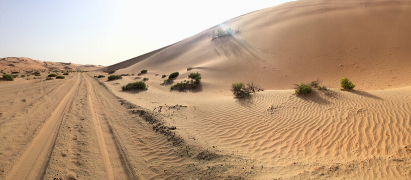 Sand dune with vehicle track in desert, Abu Dhabi, United Arab Emirates