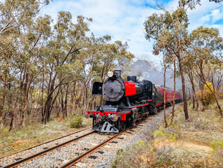 Historic Victorian Goldfields Railway steam train locomotive running through Australian bush near Maldon © FiledIMAGE