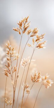 Golden reed stalks swaying gently against a serene sky background