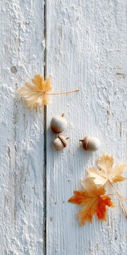Autumn acorns and maple leaves on rustic white wooden background