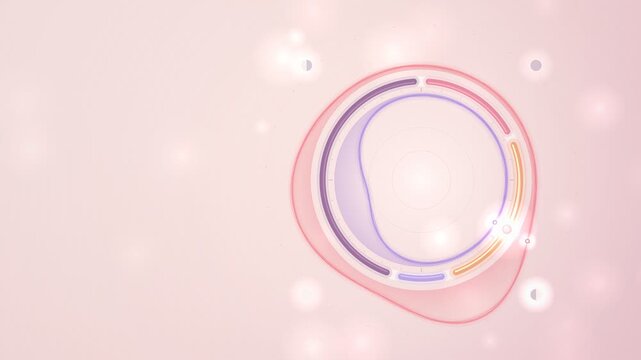 Menstrual Cycle Hormone Waves Ring Infographic Seamless Loop