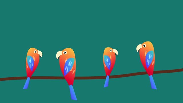 Colorful cartoon parrots sitting on a tree branch, seamless loop animation. Cute tropical birds on teal green background, flat 2D motion graphics for kids