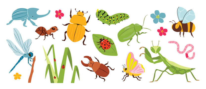 Colorful Garden Insects Vector Set with Beetles Butterfly and Bee