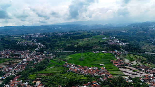 Aerial view of lush green rice terraces and residential houses nestled in the hilly landscape of Ngamprah, West Java, Indonesia.