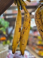 Ripe yellow bananas hanging for sale at local fruit market © Nur