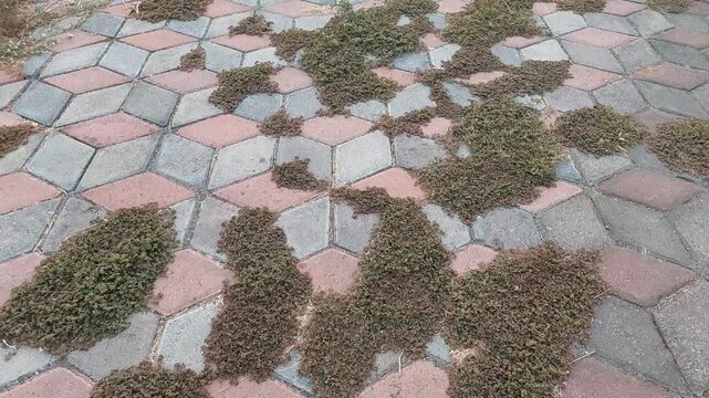 Paving Block 3D with Modern Geometric Pattern on Floor. Set of Realistic 3D Rendering of Grey Paving Blocks on Outdoor Walkway