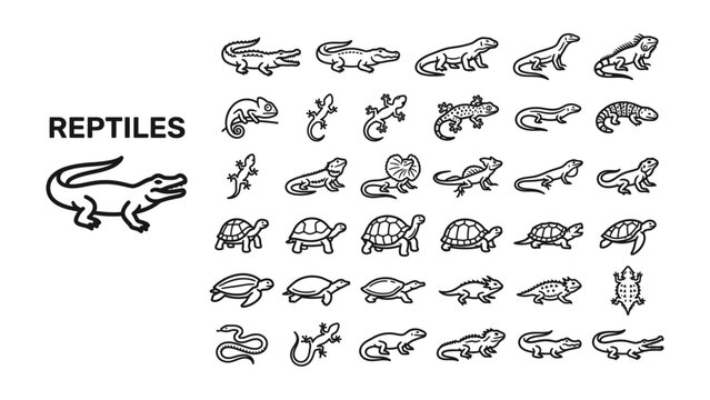 Reptile Collection: A diverse array of line art illustrations depicts various reptiles, including crocodiles, lizards, and turtles, showcasing a range of shapes and sizes.