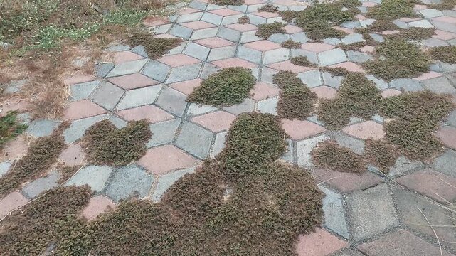Paving Block 3D with Modern Geometric Pattern on Floor. Set of Realistic 3D Rendering of Grey Paving Blocks on Outdoor Walkway