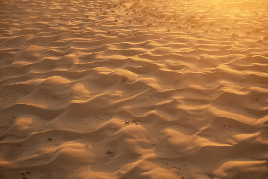 Aerial view of the vast Glamis sand dunes, featuring rolling golden sand patterns illuminated by the warm light of the setting sun in Glamis, California, United States.