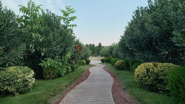 Winding Garden Path Through Lush Green Park
Forward-moving video along a winding paved path surrounded by dense shrubs, ornamental trees and manicured greenery in a quiet landscaped park