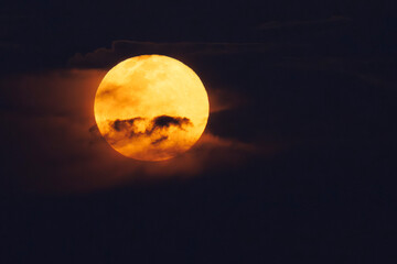 Full Moon Beauty © Sandy