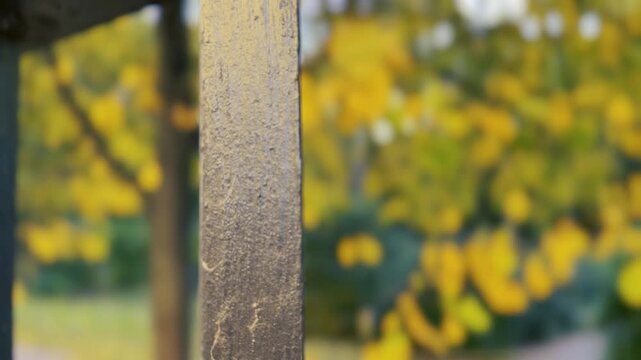 Helsinki detail b-roll: Golden Autumn Leaves Behind a Weathered Iron Park Fence