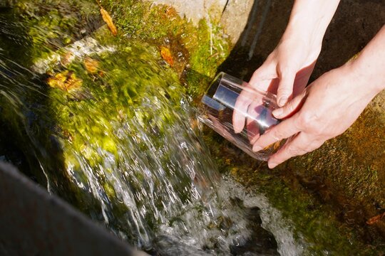 Hand holding glass cup with fresh spring water flowing from natural key source in autumn. Clean drinking water and ecology concept. Hiker collecting pure water from wild nature spring outdoors.