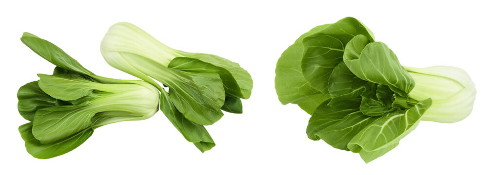Fresh pak choi cabbage isolated on white background. Top view. Flat lay