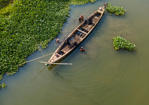 Aerial view of Kalirajut with fishermen working from a wooden boat surrounded by dense water hyacinths in the river, Patikraja, Central Java, Indonesia.