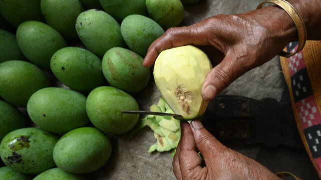 Raw mango pickle made with sugarcane molasses in a pot on a wood-burning mud stove in West Bengal, making raw mango pickle (Kacha Amer Achar) is a cultural ritual that signals. Sweet & Sour Raw Mango 