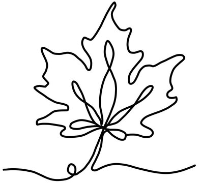 black and white flower