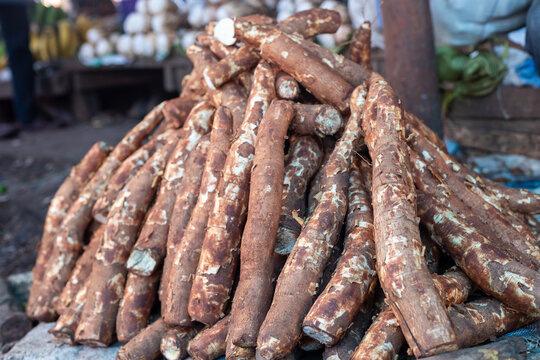 cassava roots, locally known as mihogo, on a stall at a local open-air market in Dar es Salaam, Tanzania. Food security in Africa